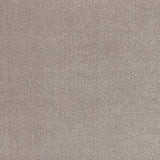 Solid cut pile broadloom carpet in taupe. 