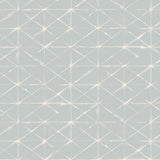 Detail of wallpaper in a mottled lattice print in white on a light blue field.