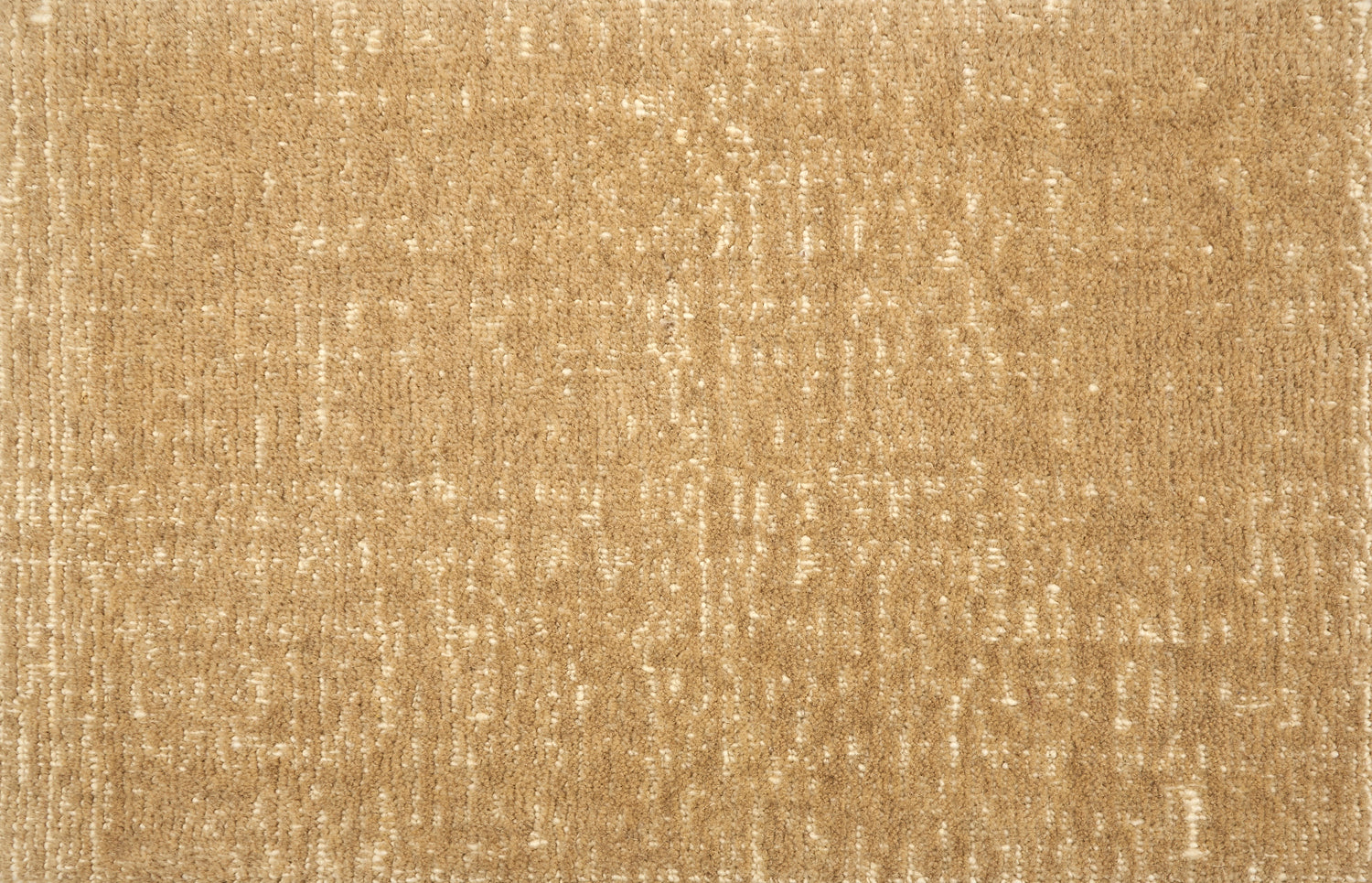 Broadloom carpet with subtle texture in tan.