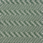 Indoor-Outdoor rug in a zig zag stripe in white and green.