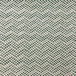 Indoor-Outdoor rug in a diamond basket weave in white and green.