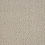 Broadloom carpet swatch in a abstract pattern in a cream design