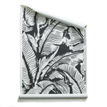 Roll of wallpaper with bold high contrast tropical banana leaf pattern in white on black. 