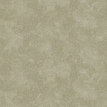 Detail of printed wallpaper with a white celestial dotted pattern on a muted sage green background. 