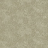 Detail of printed wallpaper with a white celestial dotted pattern on a muted sage green background. 