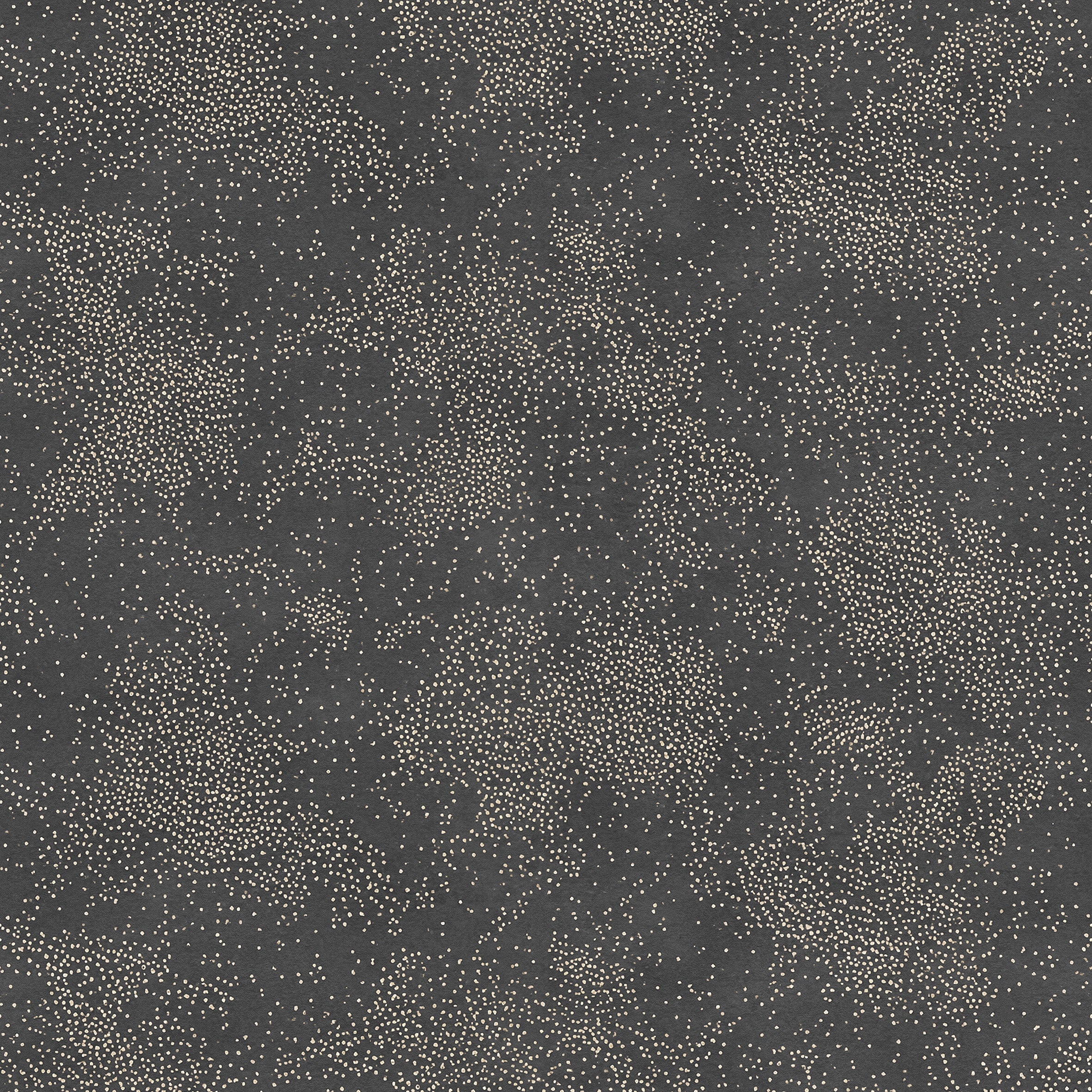 Detail of a printed wallpaper with a white celestial dotted pattern on a muted black background. 