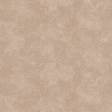 Detail of printed wallpaper with a white celestial dotted pattern on a soft clay pink background. 
