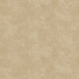 Detail of printed wallpaper with a white celestial dotted pattern on a soft tan background. 