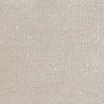 Broadloom carpet in cut pile in ivory.