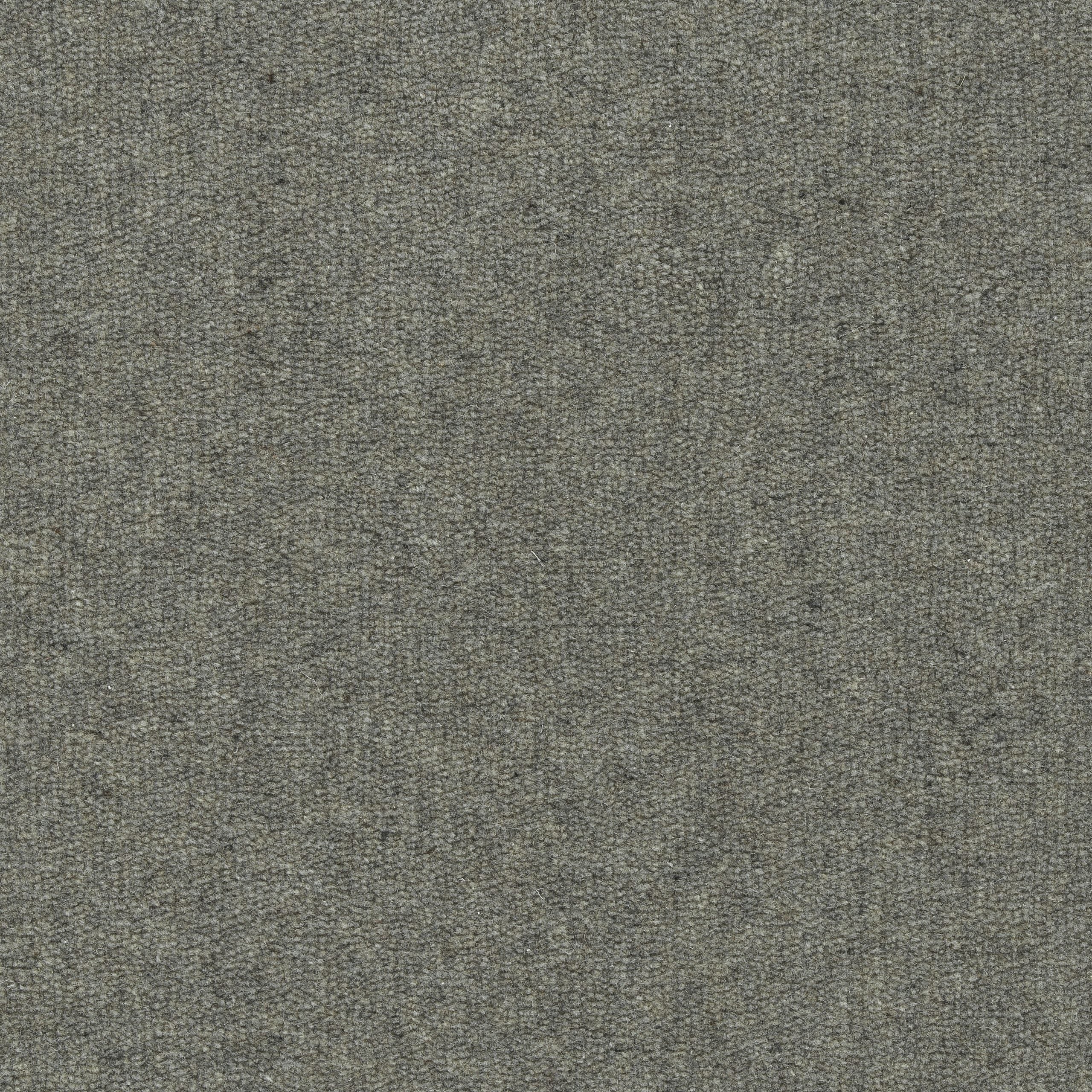 Solid cut pile broadloom carpet in charcoal.