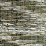 Textural broadloom carpet in green.