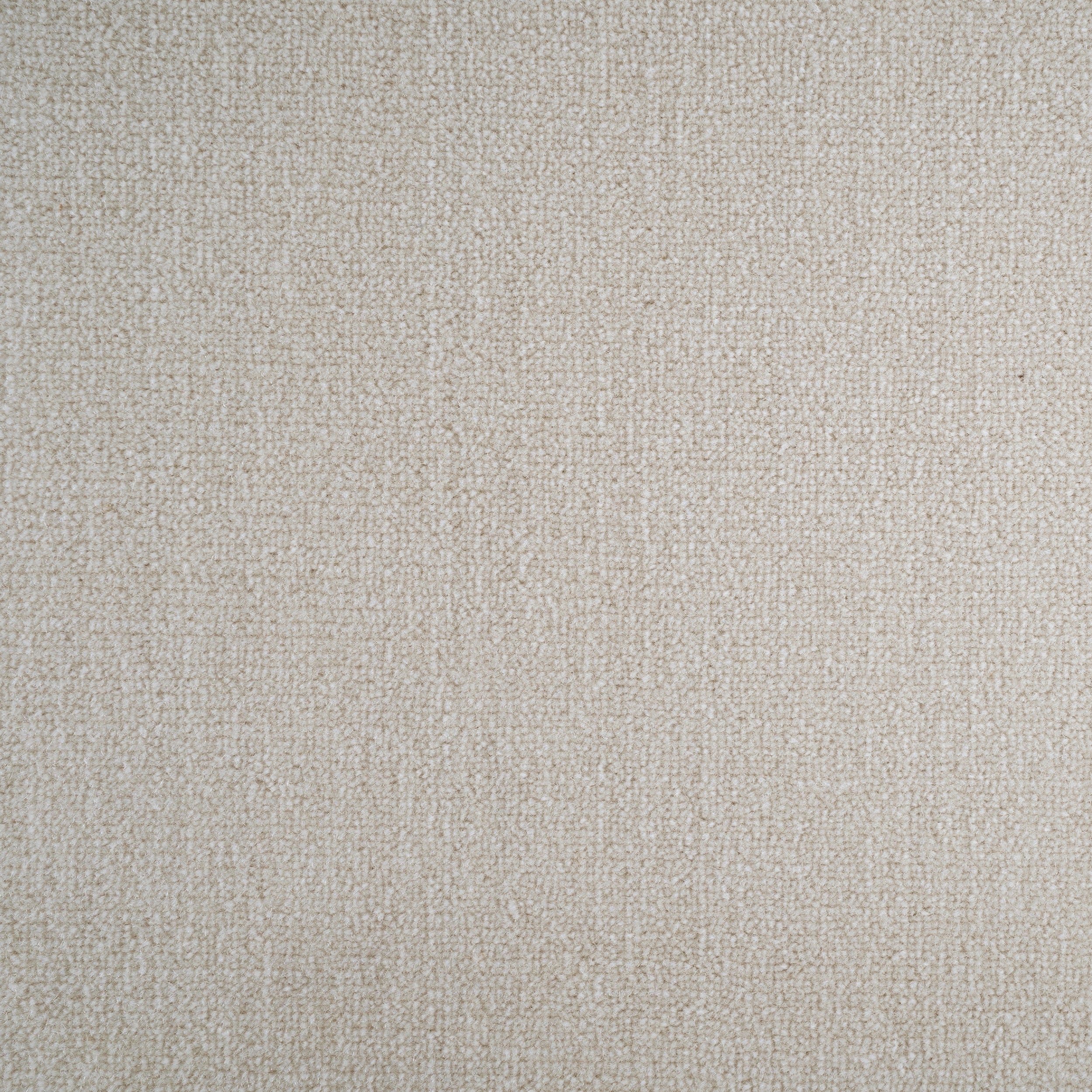Broadloom sample cut pile in cream. 