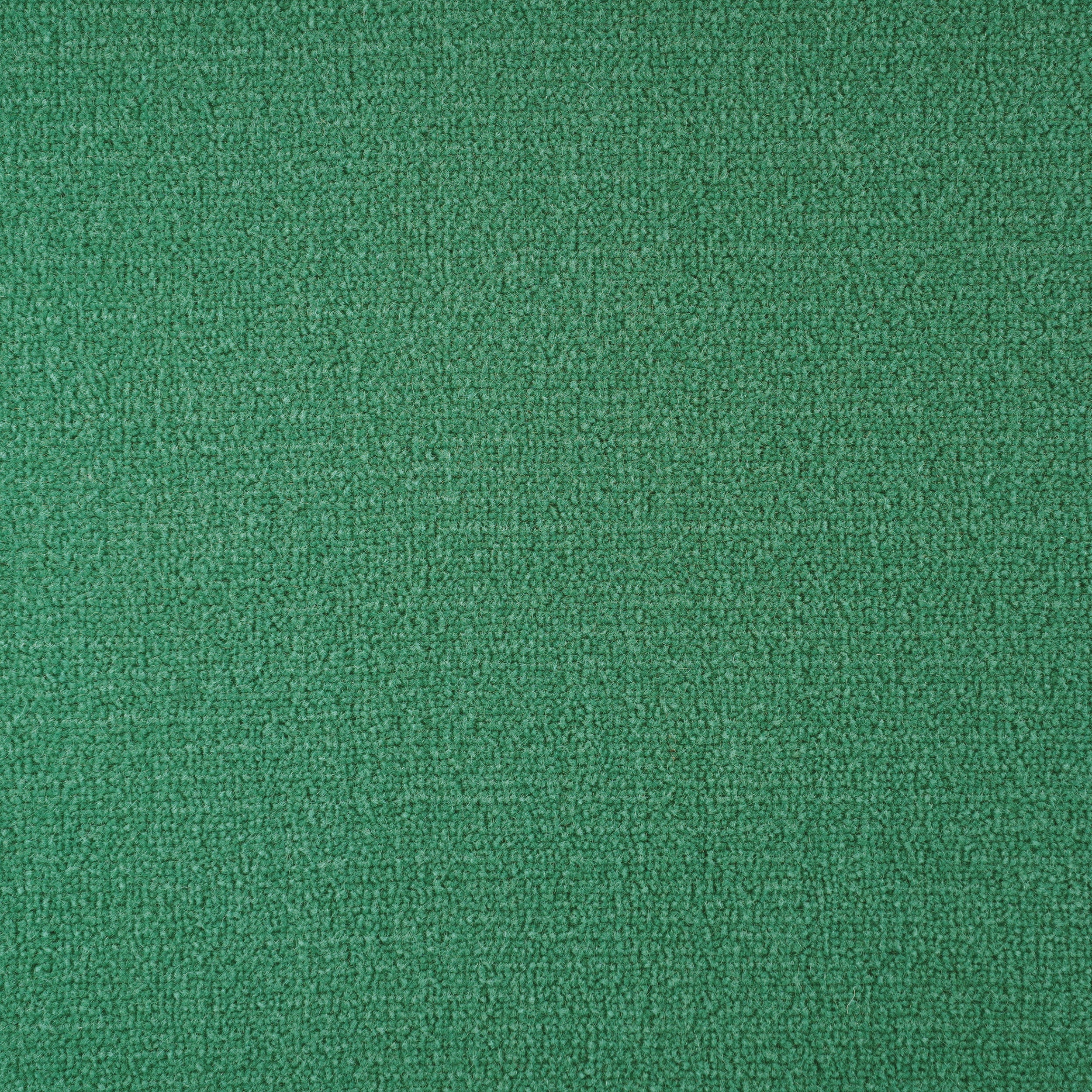 Broadloom sample cut pile in green.