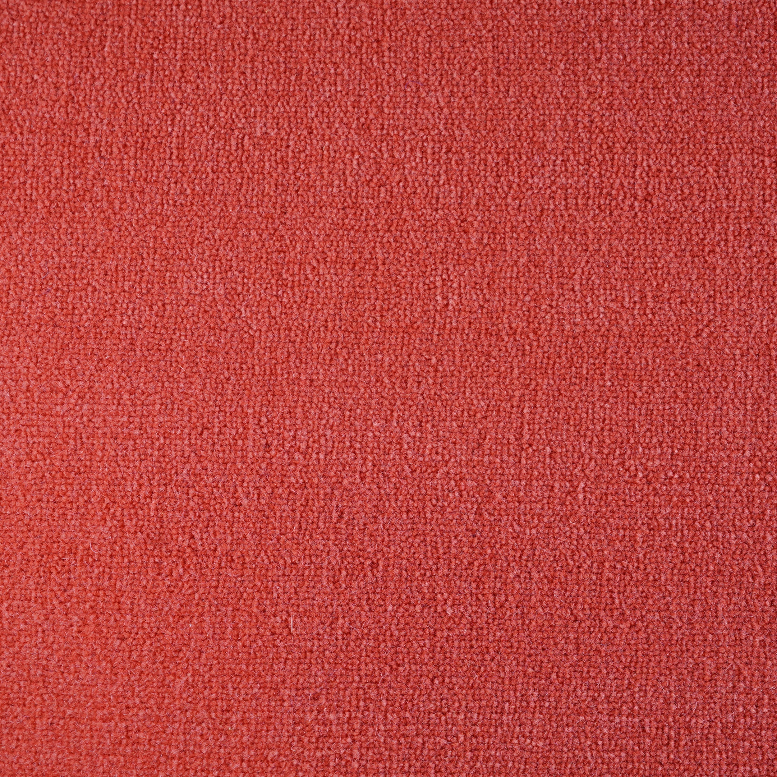 Broadloom sample cut pile in orange.