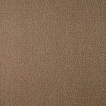 Broadloom sample cut pile in taupe. 
