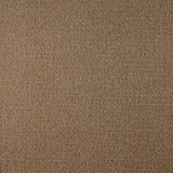 Broadloom sample cut pile in taupe. 