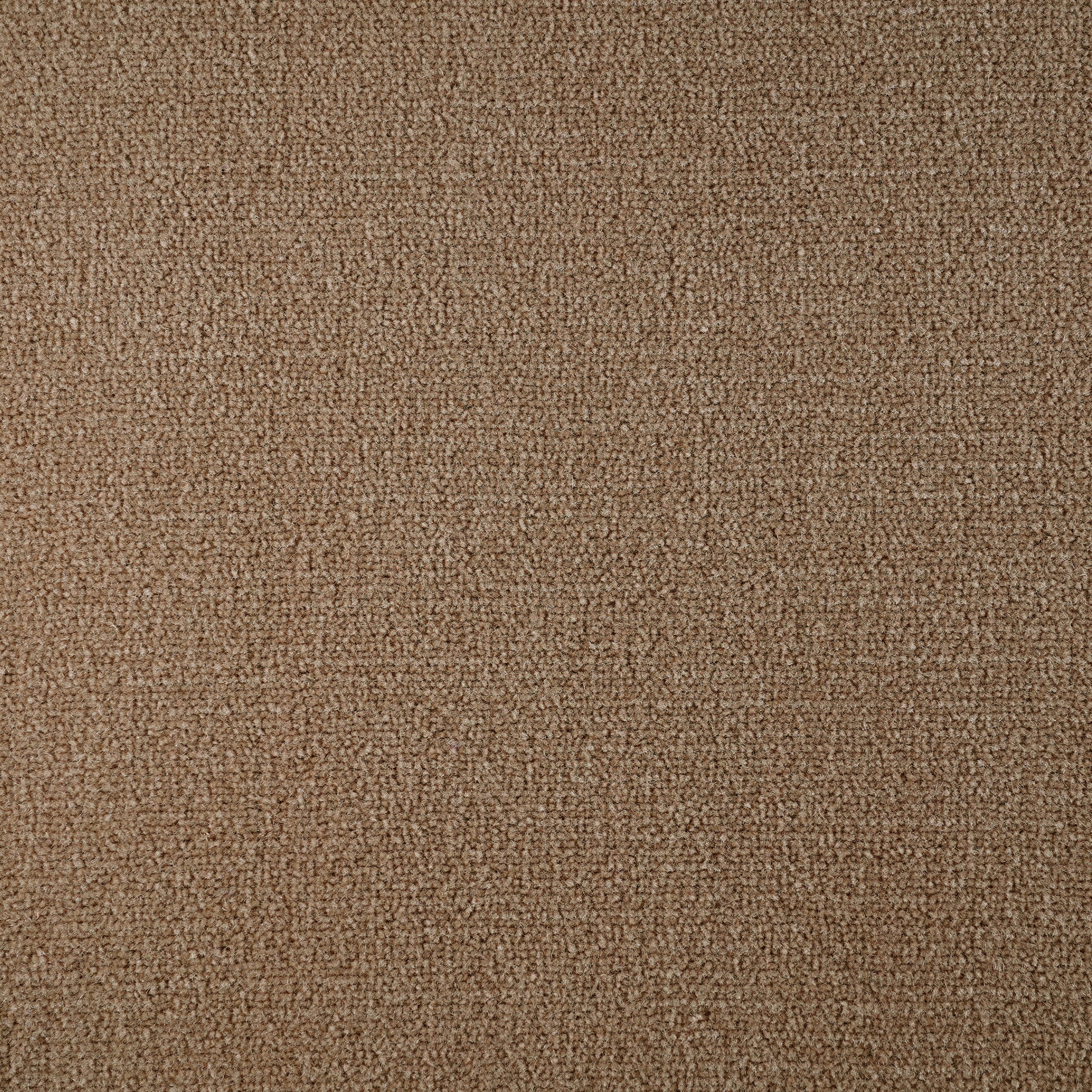 Broadloom sample cut pile in taupe. 