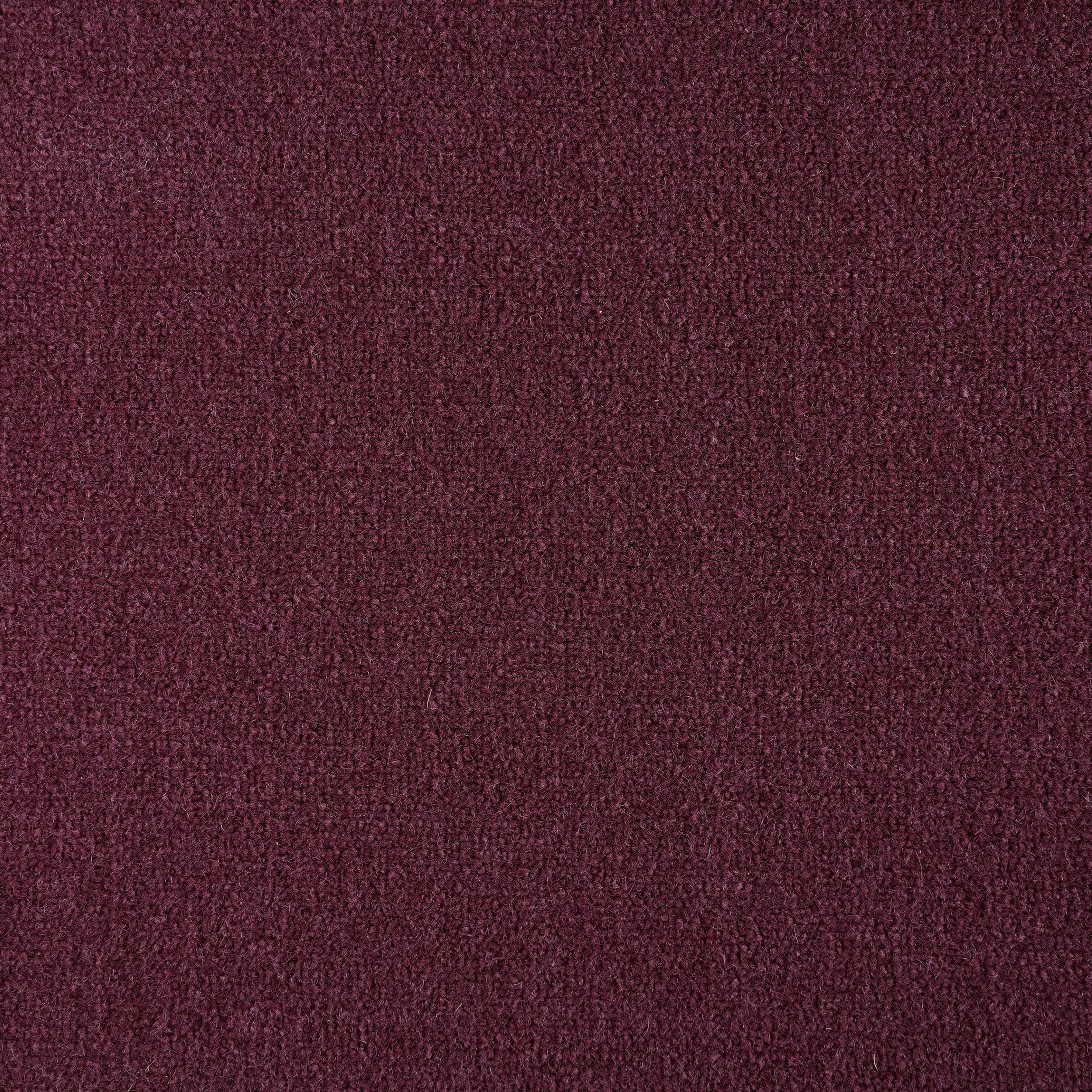 Broadloom sample cut pile in wine purple.