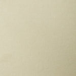 A swatch of linen fabric in a solid pale green color.