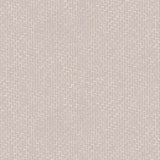 Detail of wallpaper in a small-scale grid pattern in shades of heather.
