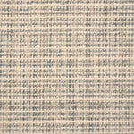 Broadloom carpet with textural weave in cream and slate blue. 