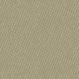 Detail of fabric in a small-scale dot and dash pattern in shades of cream and green on a sage field.