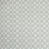 Flatweave rug in a small scale decorative lattice design in cream on a grey and tan field. 