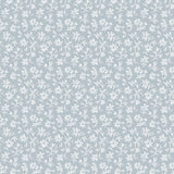 Pattern of small white flowers on a light blue background