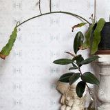 Wallpaper install in a repeating ink blot print in shades of gray with turquoise and pink accents framed by plants and props.