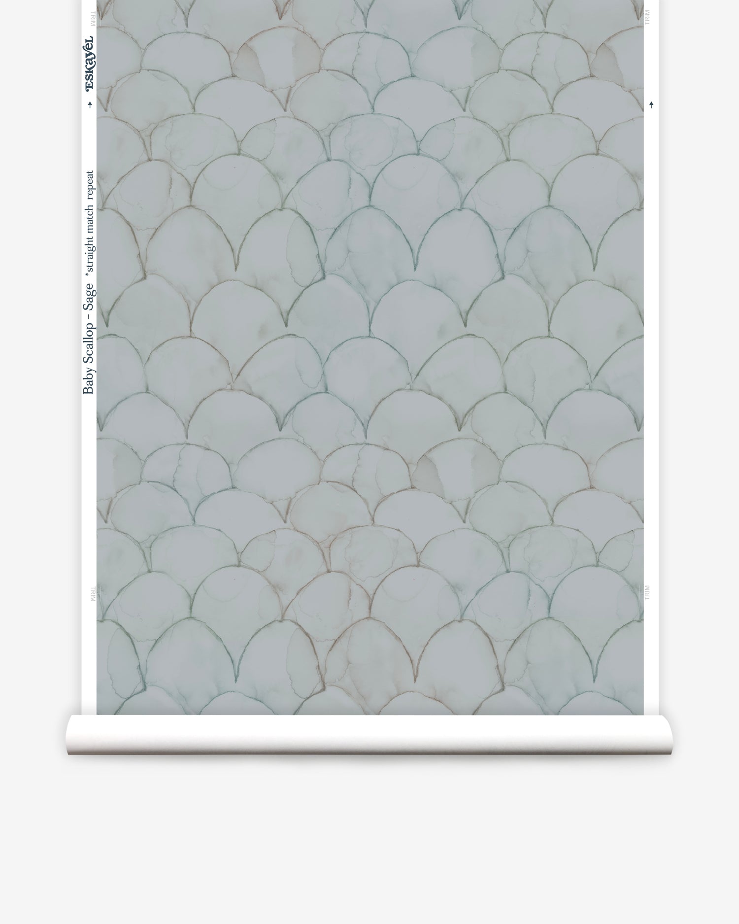 Wallpaper roll in a watercolor linear scallop pattern in green on a sage field. 