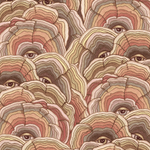 Detail of fabric in a statement print of tree rings with eyes in the middle. Colors are tan, brown and pink.