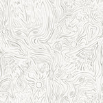 Detail of wallpaper in a playful abstract sun print in gray on a cream field.