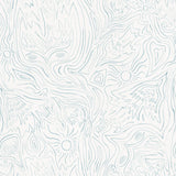 Detail of wallpaper in a playful abstract sun print in light blue on a white field.
