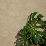 Cropped interior vignette detail with monstera leaves against a tan wallpaper with a dotted pattern and a blue zebra patterned chair seat at the foreground. 