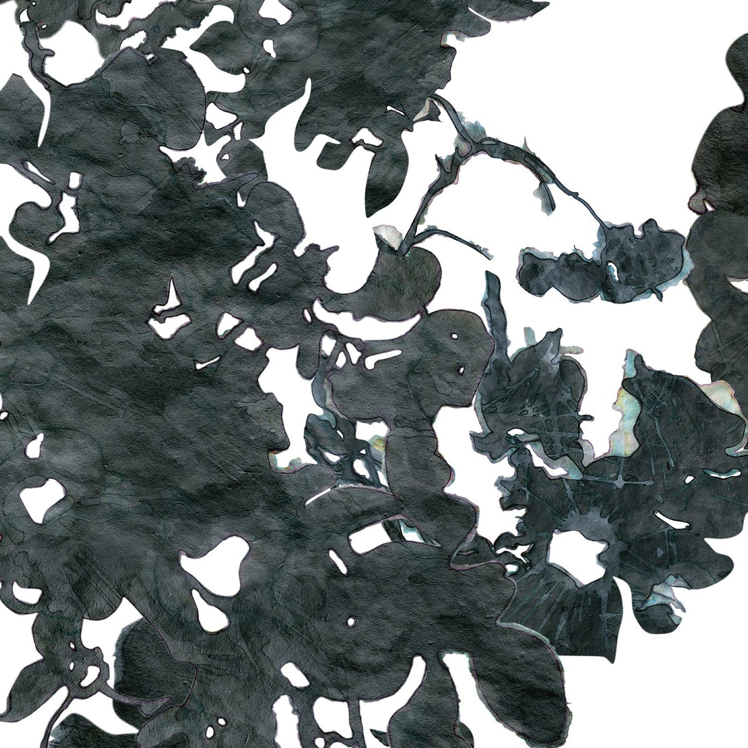 Detail of wallpaper in a watercolor floral print in mottled charcoal and blue on a white field.