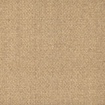 Sisal broadloom carpet swatch in a chunky grid weave in beige.