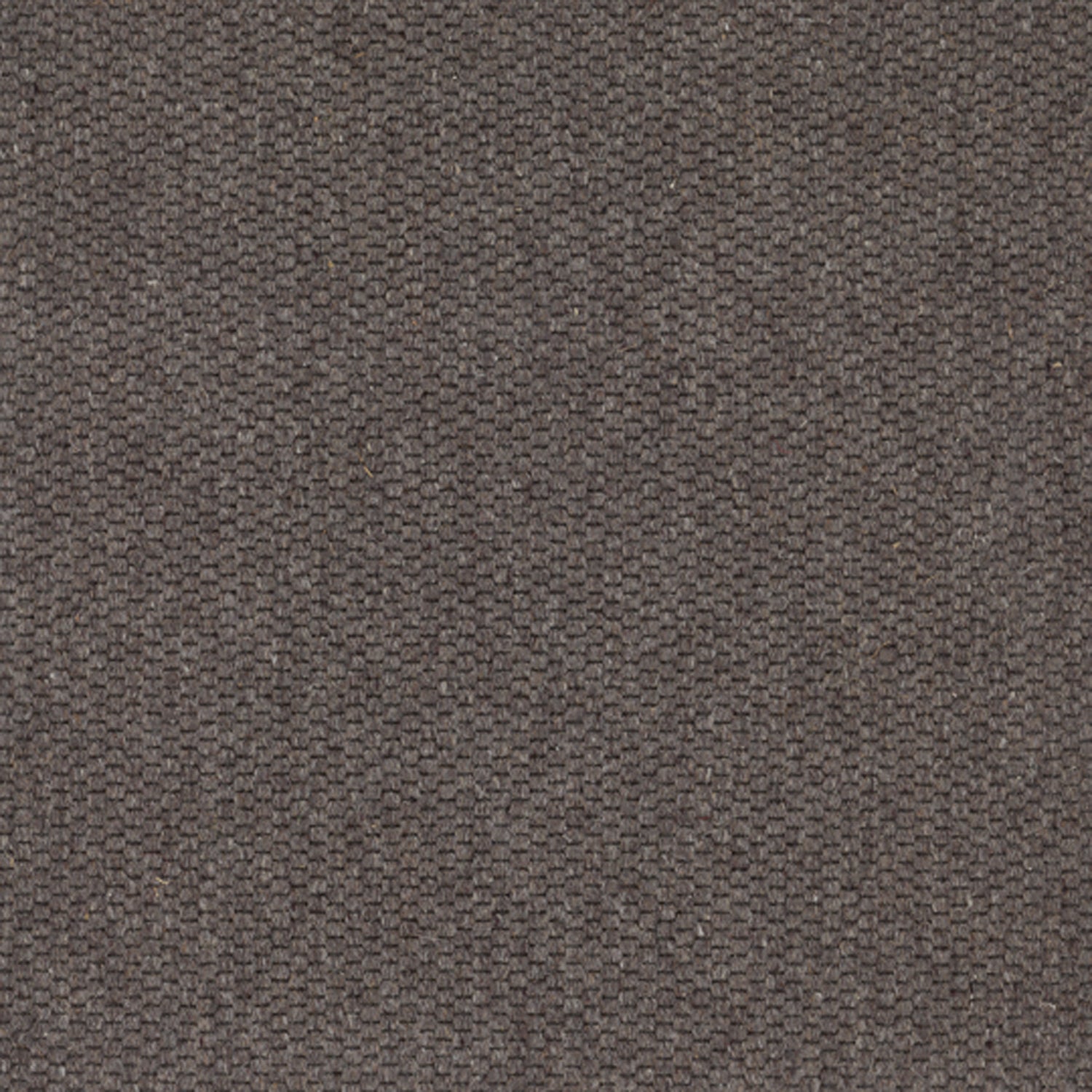 Wool broadloom carpet swatch in a flat grid weave in gray-brown.