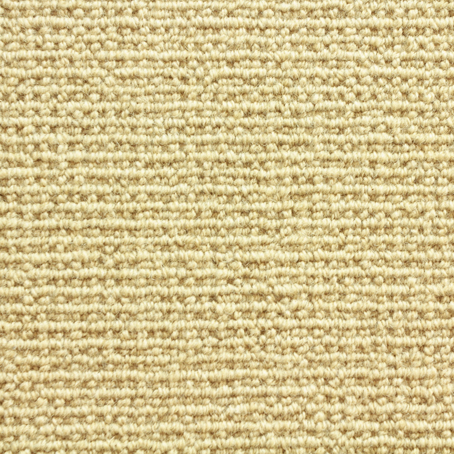 Wool broadloom carpet swatch in a chunky loop weave in beige.