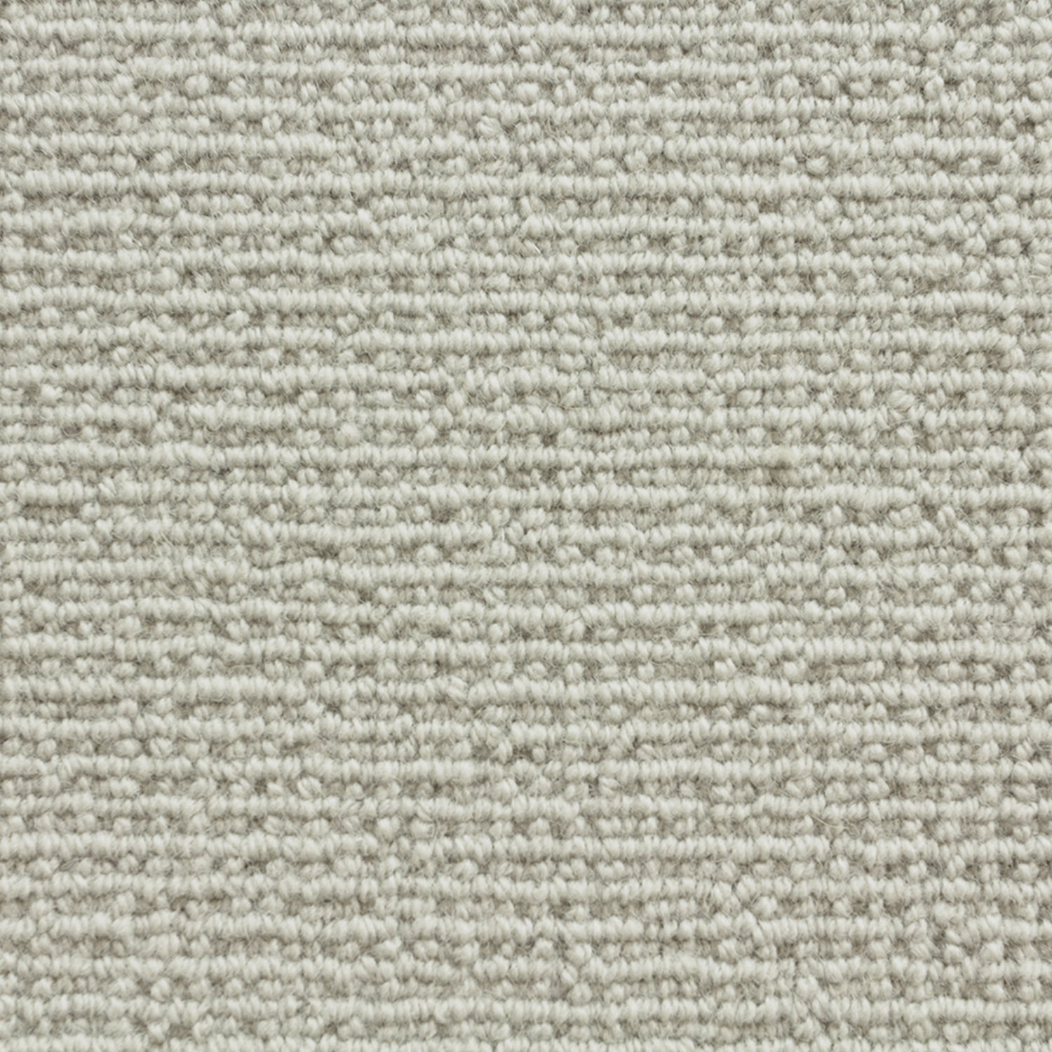 Wool broadloom carpet swatch in a chunky loop weave in dove gray.