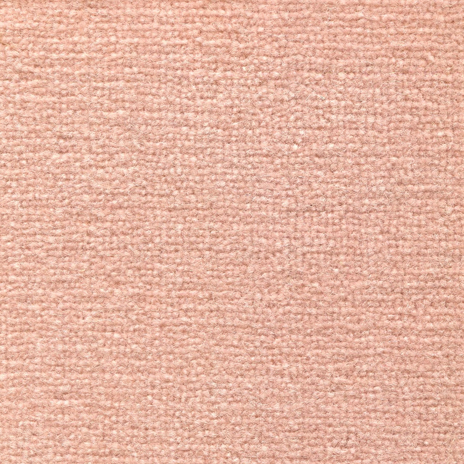 Wool broadloom carpet swatch in a high-pile weave in a solid light pink colorway.