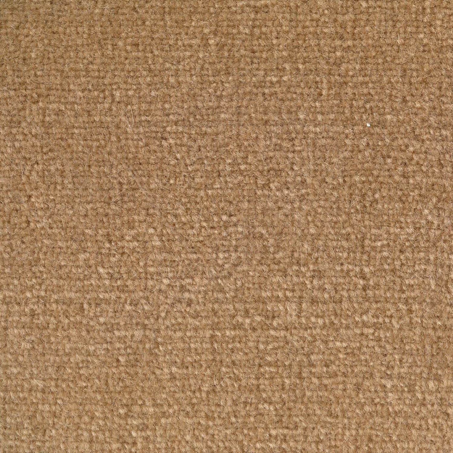 Wool broadloom carpet swatch in a high-pile weave in a solid light brown colorway.