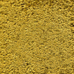 Nylon broadloom carpet swatch in a cut pile texture in mustard.