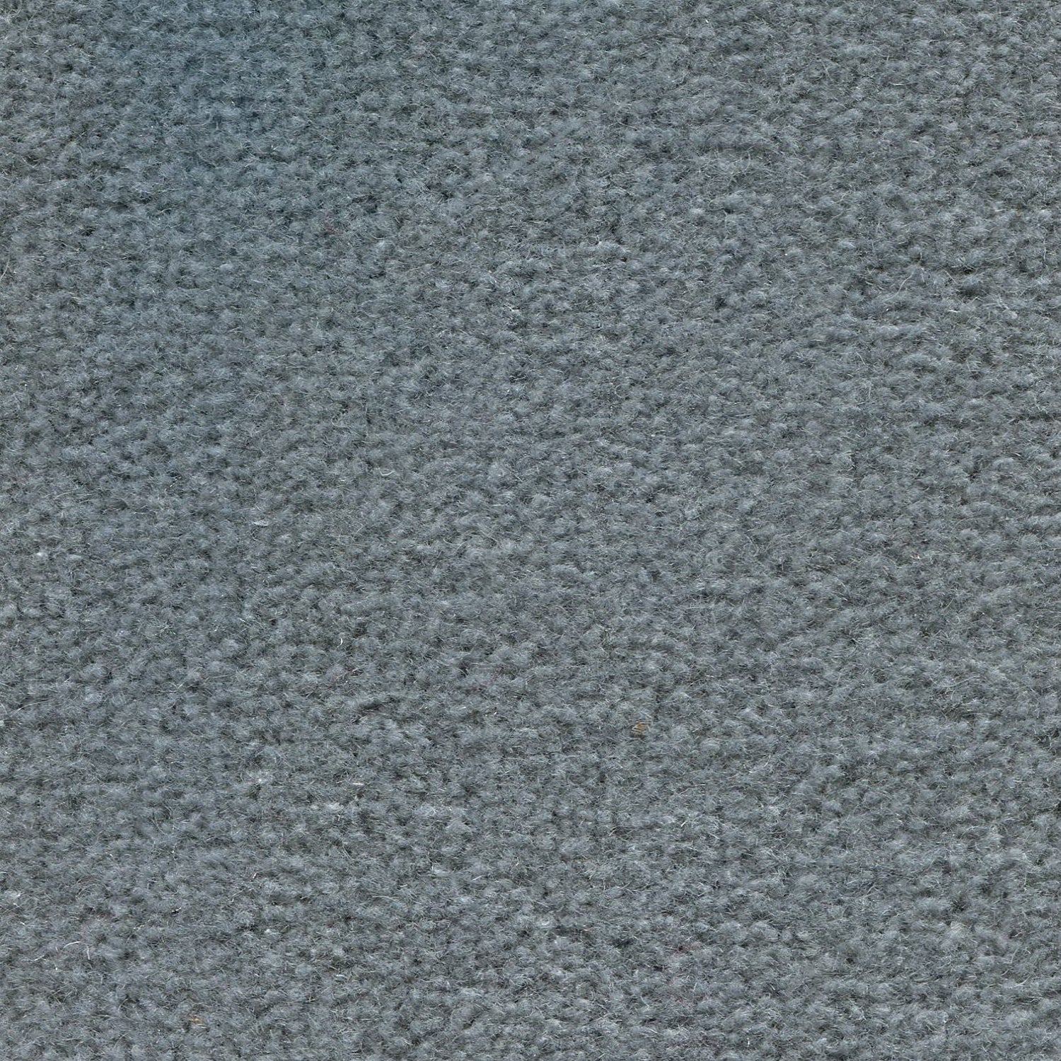 Wool broadloom carpet swatch in a cut pile texture in blue-gray.