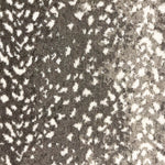 Wool broadloom carpet swatch in a white leopard print on an ombré background of greige and gray.